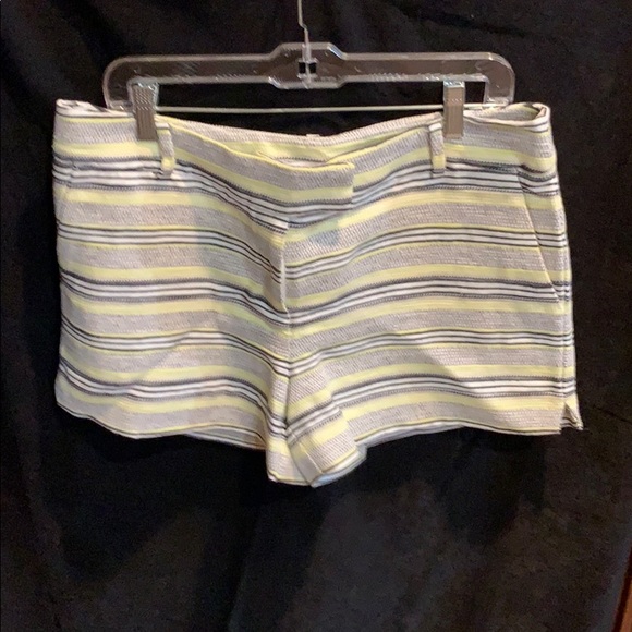 Ann Taylor Loft size 10 Women’s shorts - Picture 4 of 4